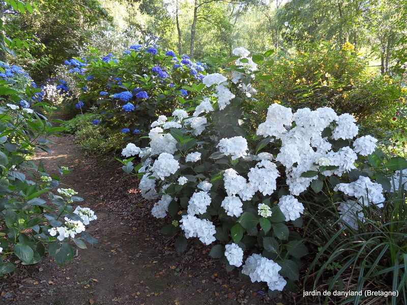 Le jardin de Danyland