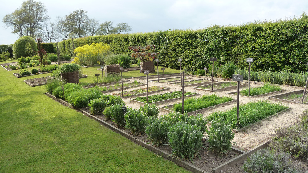 JARDINS DU MANOIR D'HÉNOCQ