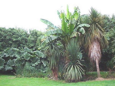 JARDIN EXOTIQUE DE SAINT RENAN