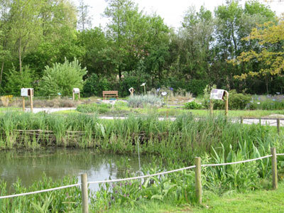 Jardin des plantes sauvages et Jardin des plantes médicinales