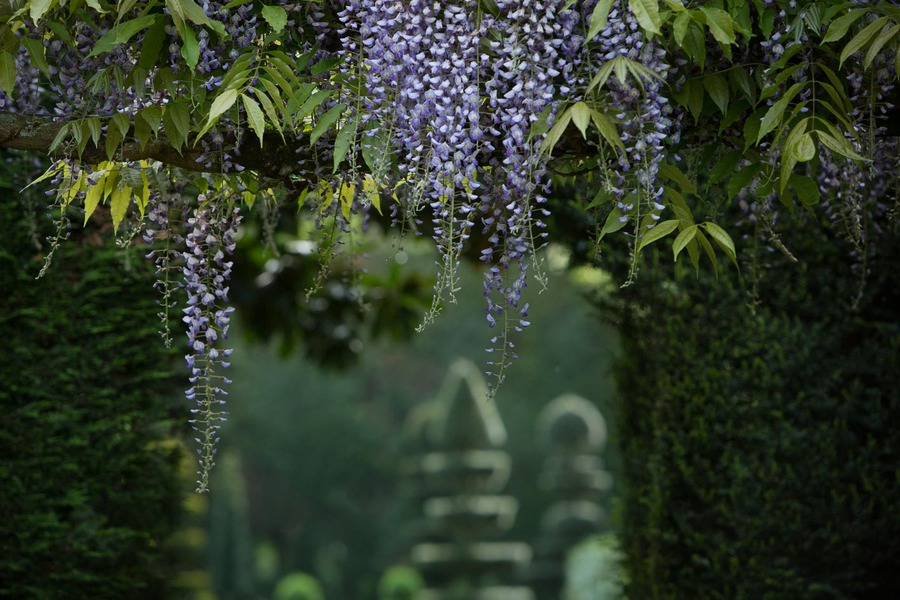 JARDINS DU CHÂTEAU DE LA BALLUE