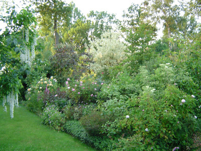 LE JARDIN DES LIANES