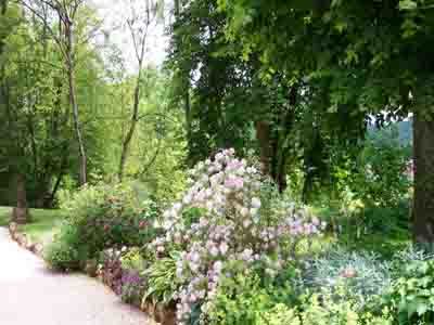 LES JARDINS DE MON MOULIN