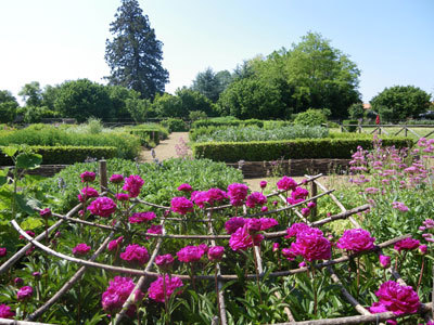 Jardin d'Inspiration Médiévale de Bazoges-en-Pareds