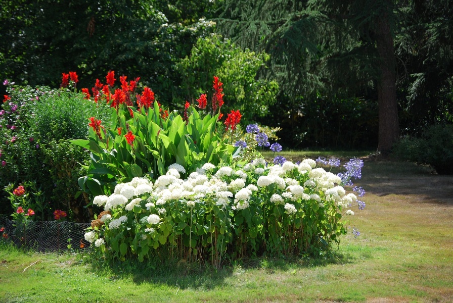 PARC ET JARDINS DU CHÂTEAU DE TOURNELAY