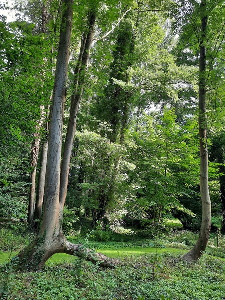 Le jardin au-delà de l'eau