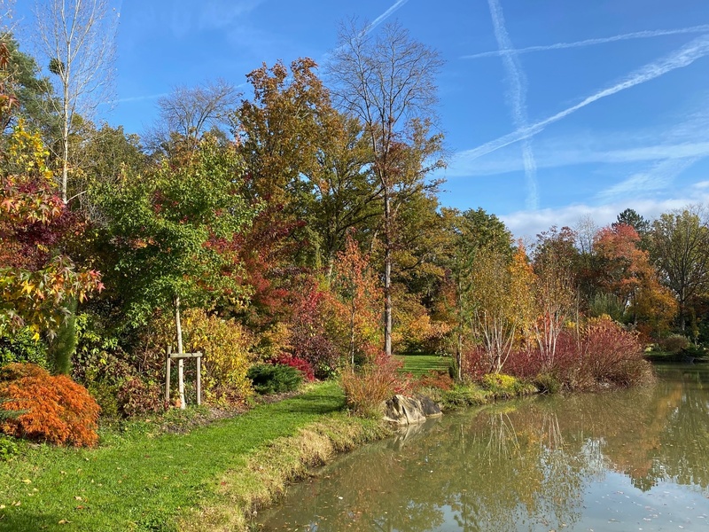 Jardin de Freville