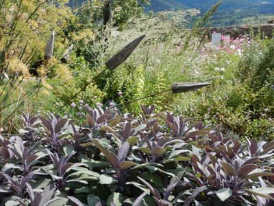 JARDIN POTAGER DE CAL MATEU