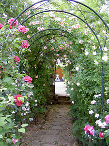 JARDIN DE L'ABBAYE DE VALSAINTES