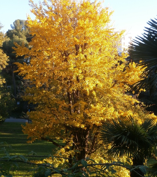 PARC VALROSE