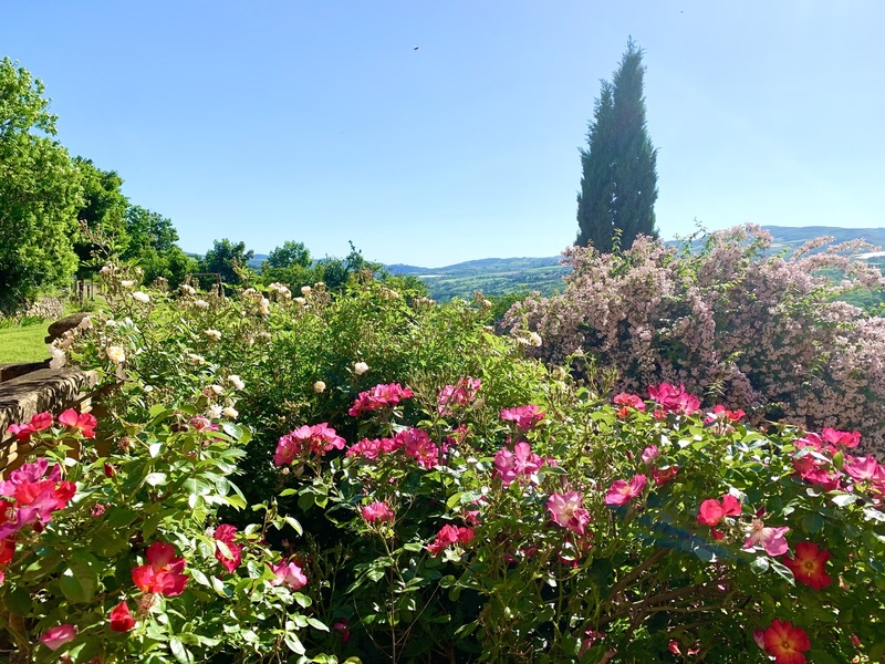 Les Jardins de la Source Dorée