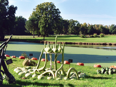 PARC ET JARDINS DU CHÂTEAU DE MONTRIOU