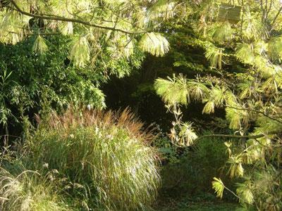 JARDIN DU CLOS DE SAINT SATURNIN