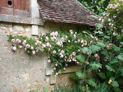 JARDIN DE BÉNAVENT