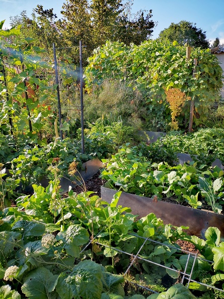 Jardin botanique de la Florendière