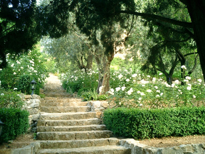 JARDIN DE LA VILLA FORT FRANCE