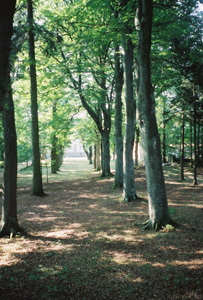 PARC DU CHÂTEAU DE FIGON