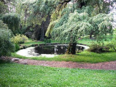 PARC DU CHATEAU DE CHAVANIAC-LAFAYETTE