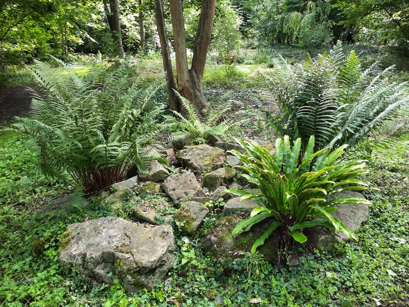 Le jardin au-delà de l'eau