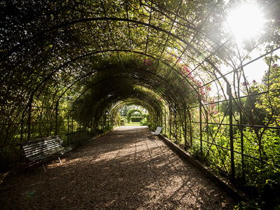 JARDIN BOTANIQUE DE MARNAY SUR SEINE