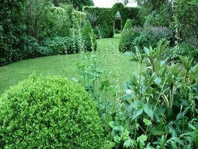 LE JARDIN DES OUBLIÉES