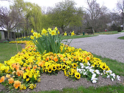 JARDIN D'HORTICULTURE PIERRE SCHNEITER