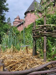 JARDIN MEDIEVAL DU CHÂTEAU DU HAUT-KOENIGSBOURG