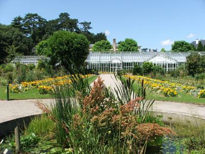 JARDIN DES PLANTES DE CAEN