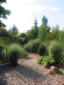 JARDIN BOTANIQUE DE SAINT CHAMOND