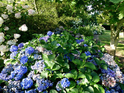 Le Jardin de Cassandra et sa Pépinière