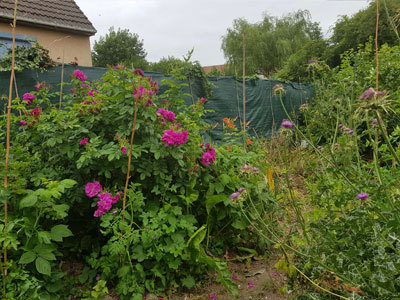 Jardin de Liberté