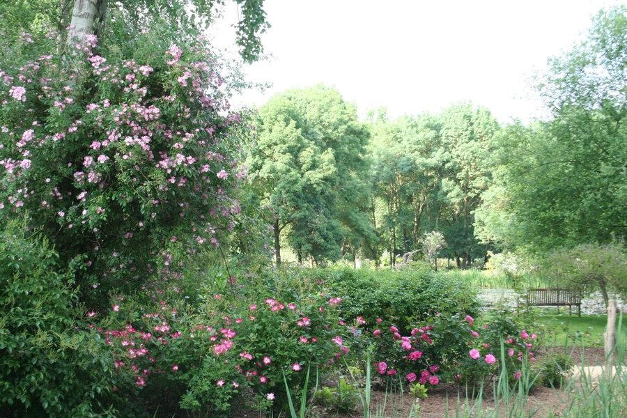 LES CHEMINS DE LA ROSE