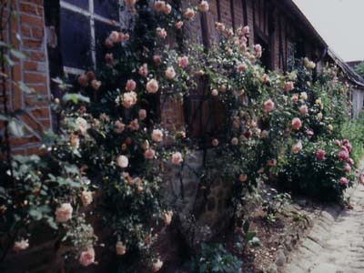 JARDIN DE LA VILLE DE GERBEROY