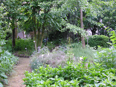 JARDIN BOTANIQUE DE SANNOIS DES PLANTES MÉDICINALES