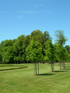 PARC DU CHÂTEAU DE RÉVEILLON