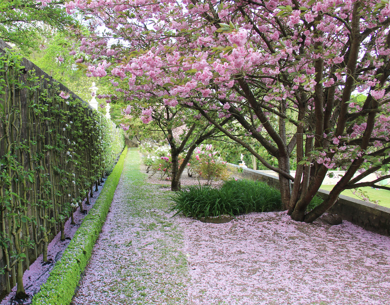 Parc et Jardin du château de Soquence