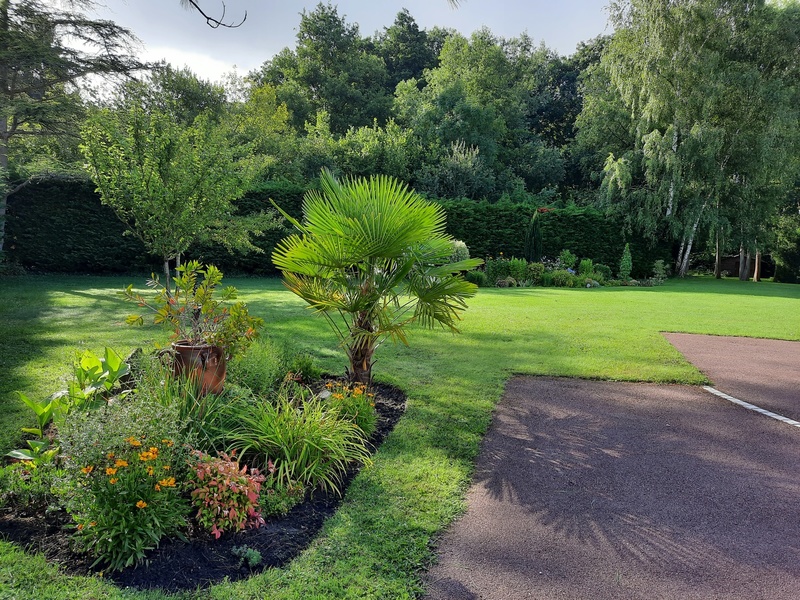 Le jardin au-delà de l'eau