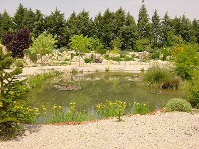 JARDIN AQUATIQUE « AUX FLEURS DE L'EAU »