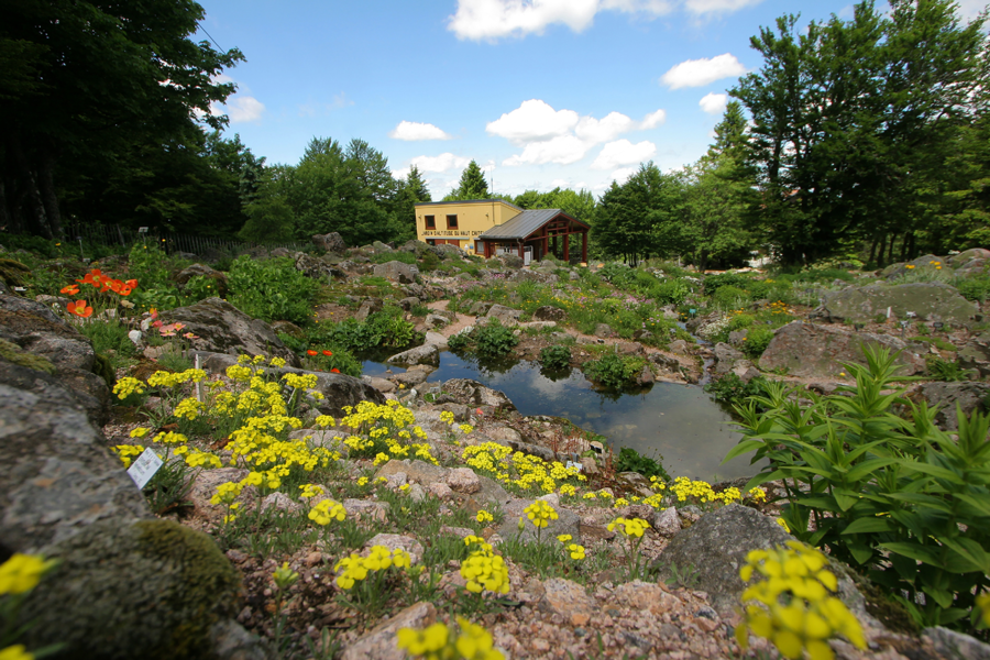 JARDIN D'ALTITUDE DU HAUT CHITELET