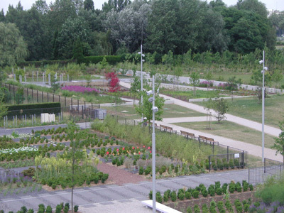 LES JARDINS DU COLYSÉE