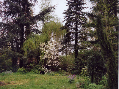 JARDIN BOHÈME