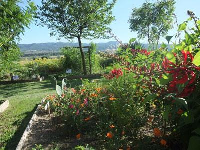 Terrasses du Jardin Neuf et Jardin Conservatoire des plantes tinctoriales