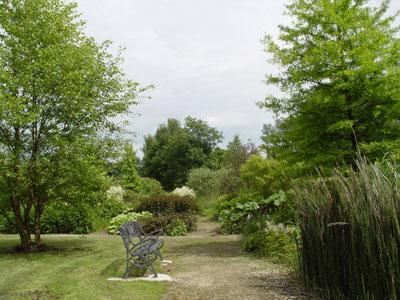 Jardin d'eau de l'Aubépré