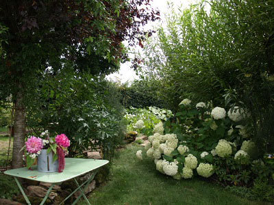 LE JARDIN DES PLANTES