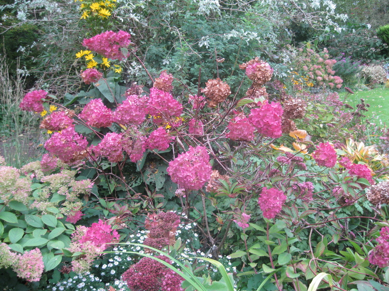 JARDIN SOUS LES CÔTES