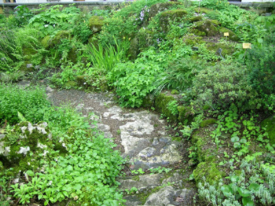 JARDIN BOTANIQUE DE LA VILLE ET DE L'UNIVERSITÉ