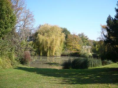 JARDIN DU CHÂTEAU DE BELLECHASSE