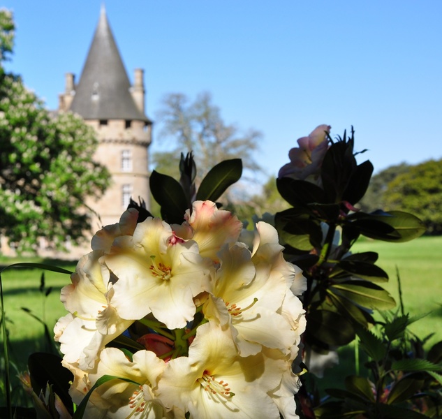 CHÂTEAU DE BONNEFONTAINE