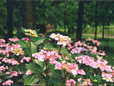 JARDIN DU CHÂTEAU D'HUMEROEUILLE