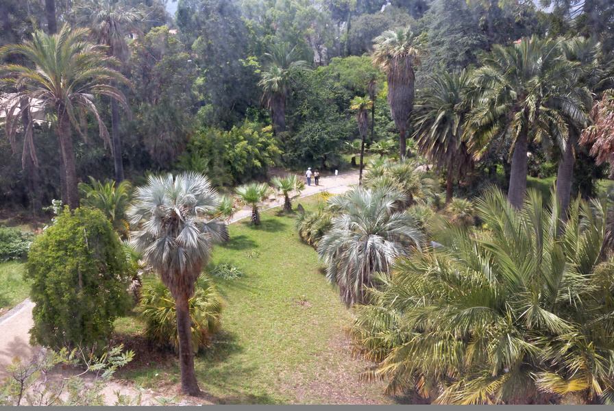 Jardin botanique de la Villa Thuret
